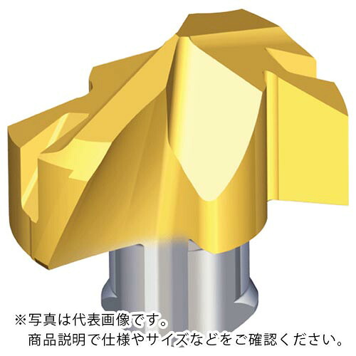 TAEGUTEC ( NTKカッティングツールズ ) 刃先交換式ドリル用ヘッド ドリルラッシュ ( TCD-170-K TT9080 )