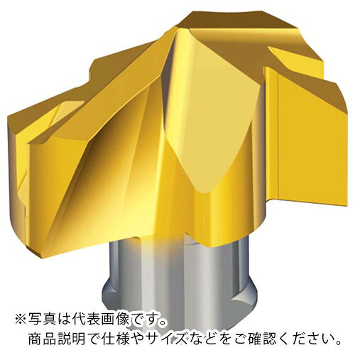 TAEGUTEC ( NTKカッティングツールズ ) 刃先交換式ドリル用ヘッド ドリルラッシュ ( TCD-190-M TT9080 )