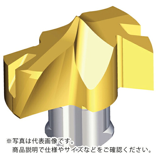【SALE通貨価値】TAEGUTEC ( NTKカッティングツールズ ) 刃先取り替えっこ式せん孔機用尖端 せん孔機混雑時 ( TCD-070-P+ TT9080 ) テグテックジャパン(株)