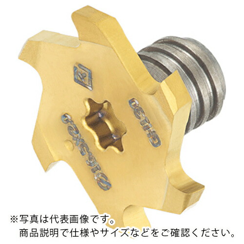タンガロイ タング・マイスター用ヘッド 6枚刃 Tスロット加工用 VTB GH730 ( VTB195W4.00R04-06S08 GH730 ) 【2個セット】