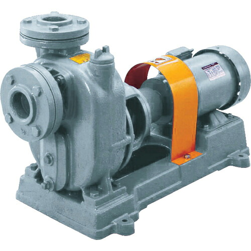 TERADA ( 寺田ポンプ製作所 ) セルプラポンプ 鋳鉄製グランド式 50Hz 18.5kW 全揚程11m モーター付 ( O-10E 50HZ WM )