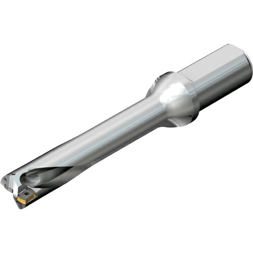 SANDVIK ( サンドビック ) コロドリルDS20刃先取り替えっこ式せん孔機(465) ( DS20-D2697LX31-05 (465) )