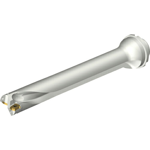 SANDVIK ( サンドビック ) コロドリルDS20刃先取り替えっこ式せん孔機(465) ( DS20-D3810DM40-07 (465) )