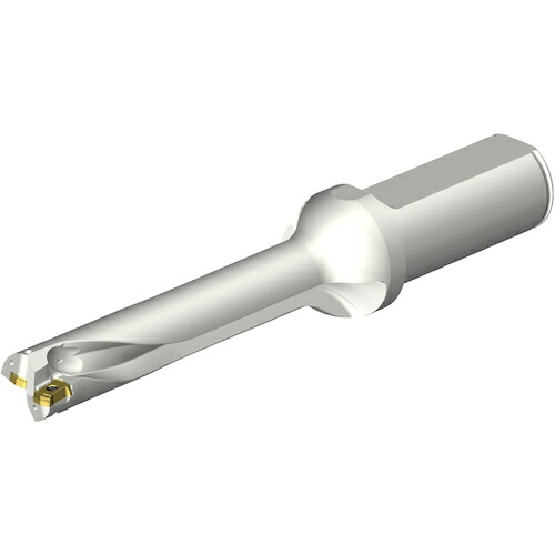 SANDVIK ( サンドビック ) コロドリルDS20刃先取り替えっこ式せん孔機(465) ( DS20-D1750L25-05 (465) ) DIY・工具-その他
