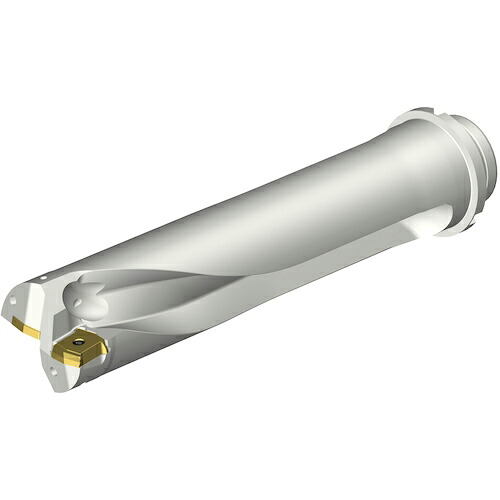 SANDVIK ( サンドビック ) コロドリルDS20刃先交換式ドリル(465) ( DS20-D5800DM50-04 (465) )