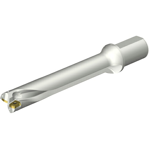 SANDVIK ( サンドビック ) コロドリルDS20刃先交換式ドリル(465) ( DS20-D4300L50-06 (465) )