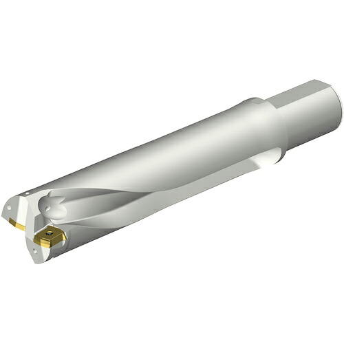 SANDVIK ( サンドビック ) コロドリルDS20刃先交換式ドリル(465) ( DS20-D6200L50-04 (465) )
