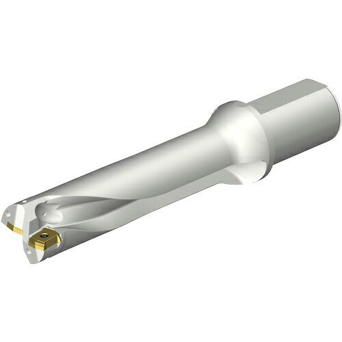 SANDVIK ( サンドビック ) コロドリルDS20刃先交換式ドリル(465) ( DS20-D4600L50-04 (465) )