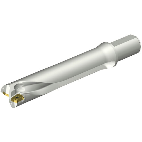 SANDVIK ( サンドビック ) コロドリルDS20刃先交換式ドリル(465) ( DS20-D4445LX38-05 (465) )