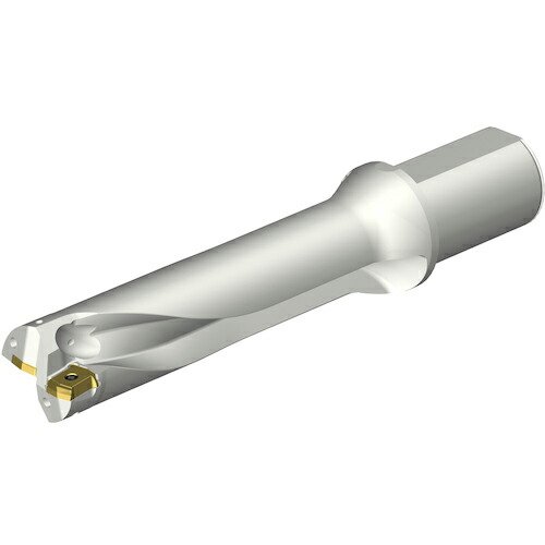 SANDVIK ( サンドビック ) コロドリルDS20刃先交換式ドリル(465) ( DS20-D4700L50-04 (465) )