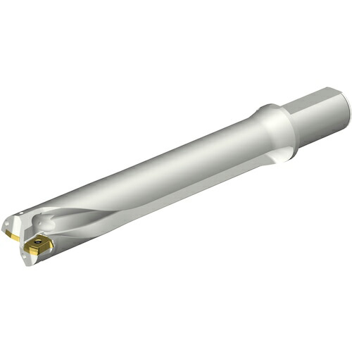 SANDVIK ( サンドビック ) コロドリルDS20刃先交換式ドリル(465) ( DS20-D4285LX38-06 (465) )