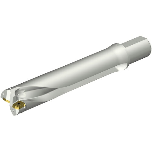 SANDVIK ( サンドビック ) コロドリルDS20刃先交換式ドリル(465) ( DS20-D5900L50-05 (465) )