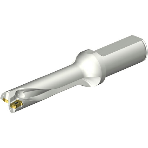 SANDVIK ( サンドビック ) コロドリルDS20刃先取り替えっこ式せん孔機(465) ( DS20-D1950L25-04 (465) )