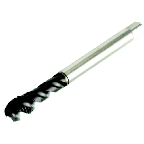 SANDVIK ( サンドビック ) コロタップ300 スパイラルタップ(780) C110 ( T300-MM101AA-M12 C110 ) サンドビック(株)コロマントカンパニー 【メーカー取寄】