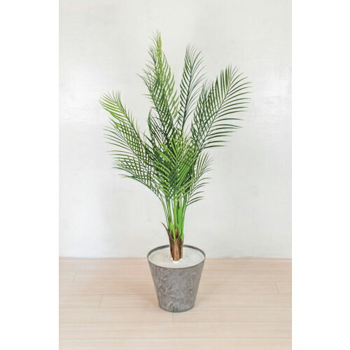 グリーンクロス 人工樹木/人工観葉植物 アレカパーム ( 6300033753 ) 【メーカー取寄】|Orange Tool Tokiwa