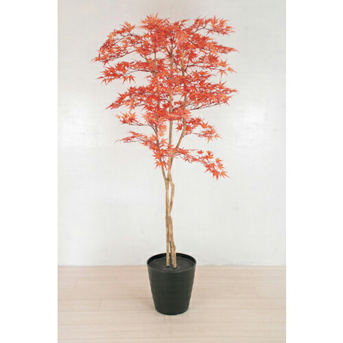 グリーンクロス 人工樹木/人工観葉植物 モミジ 小 ( 6300033750 ) 【メーカー取寄】｜Orange Tool Tokiwa