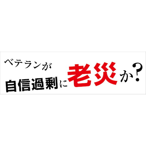 グリーンクロス 合いことば横断幕 HYO-06 ( 6300036068 ) 【製造業者取寄】