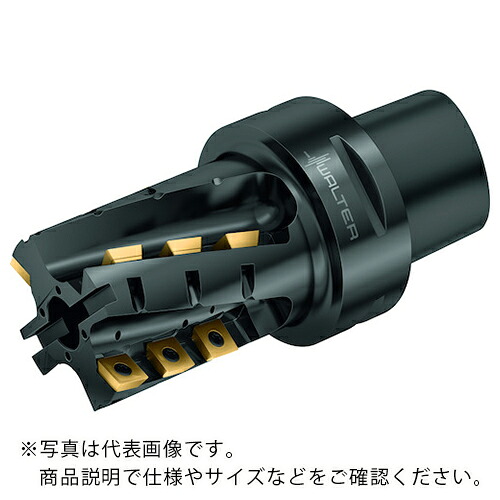 Walter ( ワルター ) ポーキュパインカッターボディ ( M4258-063-C8-02-60-B ) ワルタージャパン(株) 【メーカー取寄】