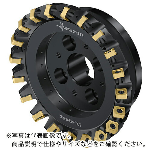Walter ( ワルター ) フェイスミルカッター M5009-Bボア穴印字機 20枚刃 ( M5009-160-B40-20-06 ) 【製造業者取寄】