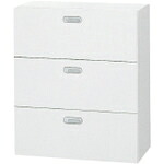 PLUS ( つけ加える ) 635830)LX-5 ラテラル納める庫3段 ( L5-E105H-3 W4 ) 【製造業者取寄】