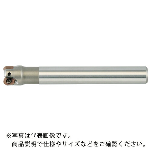 MOLDINO アルファ高硬度ラジアスミル シャンク ( RH2P1010S08-2 )
