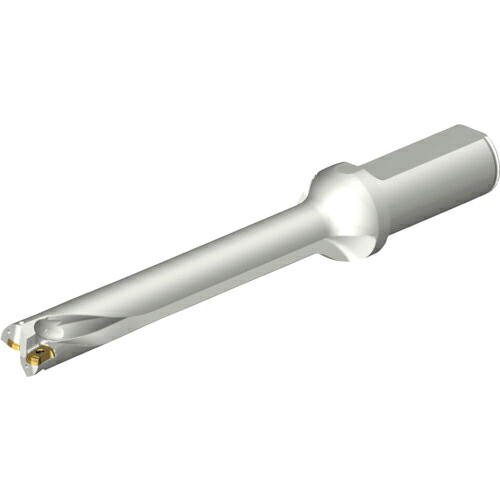 SANDVIK ( サンドビック ) コロドリルDS20刃先交換式ドリル(465) ( DS20-D1800L25-07 (465) )