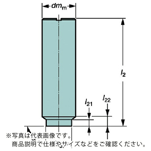 SANDVIK ( サンドビック ) コロミル316 シャンクホルダ(445) ( E20-A20-SE-095 (445) )
