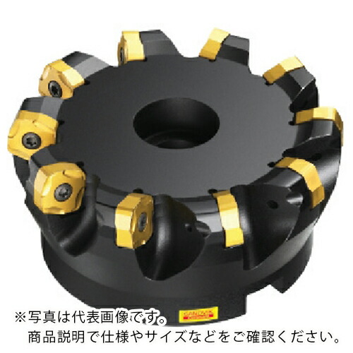 SANDVIK ( サンドビック ) コロミル365カッター(450) ( R365-050Q22-S15H (450) ) 49,255円
