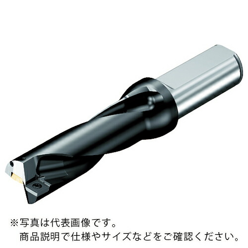 SANDVIK ( サンドビック ) 刃先取り替えっこ式せん孔機 百貨店Uせん孔機(465) ( 880-D4300L50-04 (465) )