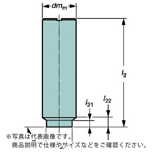 【SALE必要経費】サンドビック コロミル316 シャンクホルダ(445) ( E12-A12-SE-100 (445) )