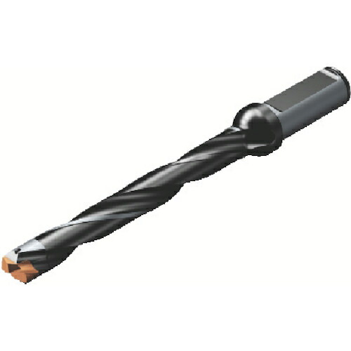 SANDVIK ( サンドビック ) コロドリル870 先端取り替えっこ式せん孔機(446) ( 870-2600-26L32-5 (446) )