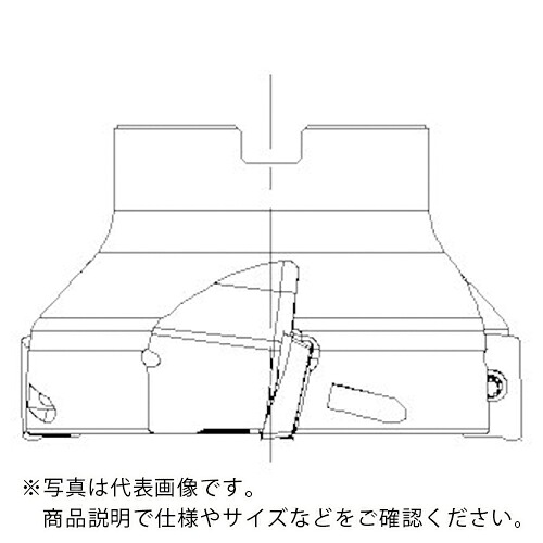 SANDVIK ( サンドビック ) コロミル390カッター(450) ( RA390S-125J38-17L (450) )