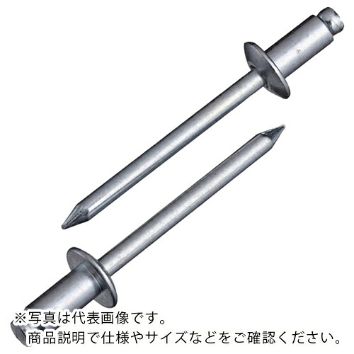 【SALE価格】エビ ( ロブテックス ) ブラインドリベット(スティール/スティール製) 8-8(100本入) エコBOX ( NS8-8EB )