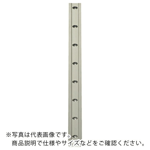 igus ( イグス ) ドライリンTミニチュアガイドレール12型 ( TS-04-12-1000 ) イグス(株) 【メーカー取寄】