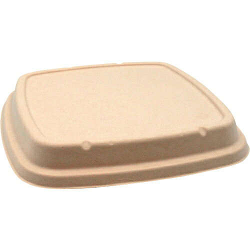 PACKSTYLE ( 折兼 ) BB弁当 N23-23F 共蓋 ( 653869 ) 【300枚セット】 (株)折兼 【メーカー取寄】