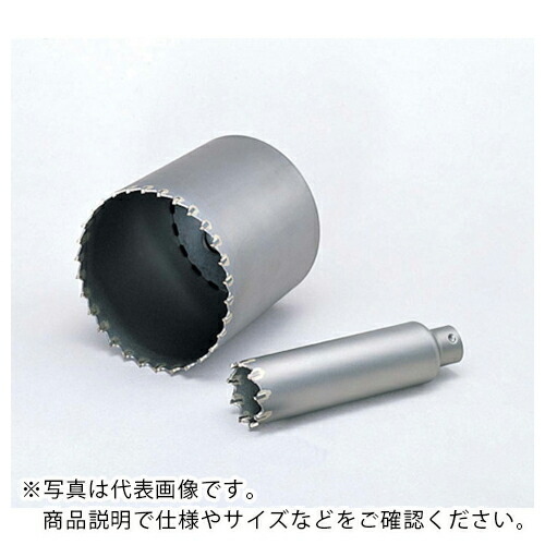 ボッシュ ポリクリック 振動コアカッター 90mm ( PSI-090C )