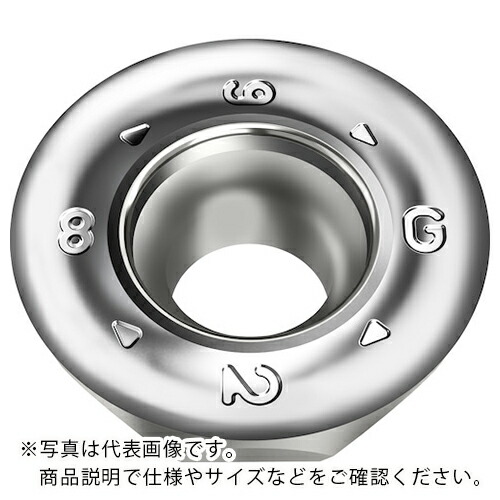 Walter ( ワルター ) ミーリング産業用 丸駒ポジ手当て WK10 ( ROGX2006M08-G88 WK10 ) 【10個仕掛ける】 【製造業者取寄】