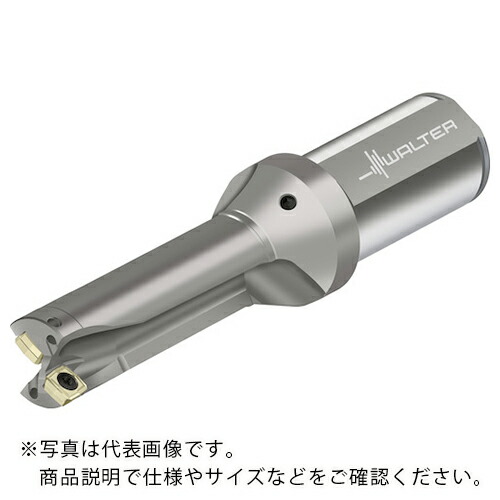 Walter ( ワルター ) チップ交換式ドリル D3120 ( D3120-03-20.00F25-P21 ) ワルタージャパン(株) 【メーカー取寄】