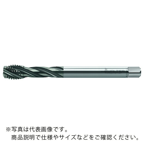 Prototyp ( ワルタージャパン ) HSS-E (-PM) 機関水道栓 ( TC121-M16-L0-WY80BD ) 【製造業者取寄】