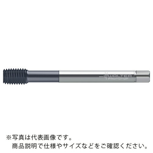 【SALE通貨価値】Prototyp ( ワルタージャパン ) HSS-E-PM 転造水道栓 ( TC430-M12-L1-WW60EL ) ワルタージャパン(株)