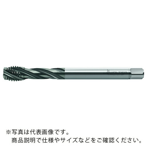Prototyp ( ワルタージャパン ) HSS-E (-PM) 機関水道栓 ( TC121-M14-L0-WY80BD ) 【製造業者取寄】