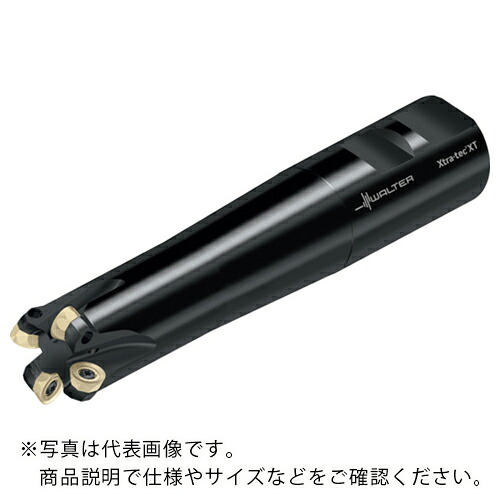 【SALE価格】ワルター 丸駒カッター M5468-W ウェルドンタイプ 2枚刃 ( M5468-010-W10-02-02.5 )
