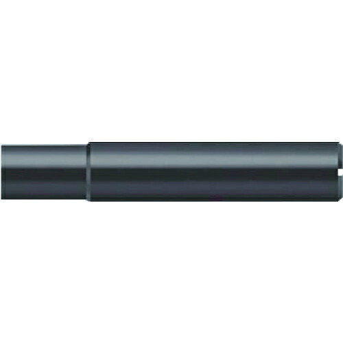 【SALE価格】Prototyp 12ヘッド用シャンク タイプA 100mm ( AK610.Z12.E12.022 )