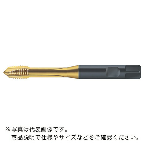 【SALE価格】Prototyp マシンタップ ( S2126305-M12X1.5 ) 7,567円