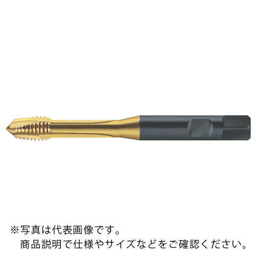【SALE価格】Prototyp マシンタップ ( S2126305-M16X1.5 )