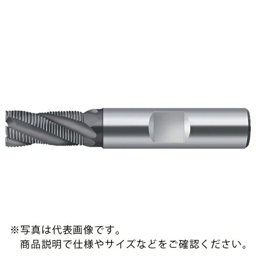 【SALE価格】Prototyp エンドミル ( H4180378-10 ) 15,137円