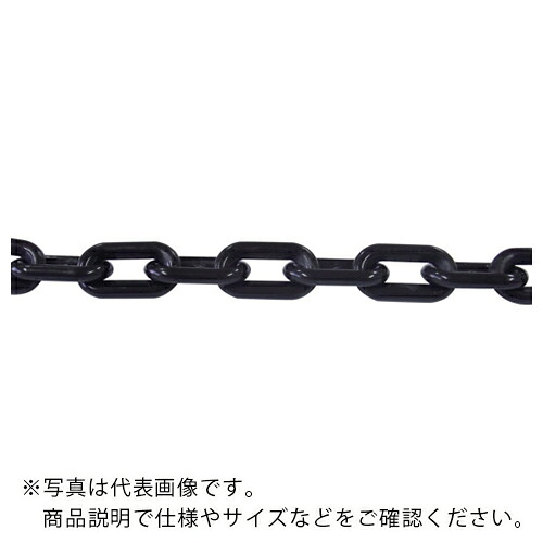 ニッサチェイン プラカラーチェン 30m 黒 ( PW60-BK )