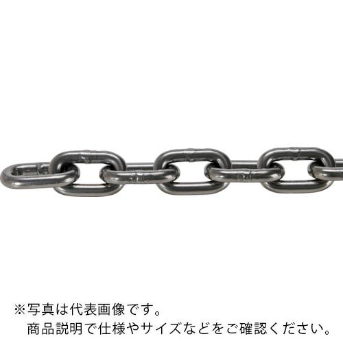 TRUSCO ( トラスコ中山 ) JIS F2106第一種規格相当 ロングリンクチェーン スチール 磨き 線径9mm×長さ29.1M~30.0M ( TIC-9-LG-M-30C )