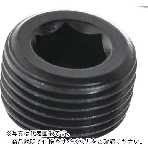 【SALE通貨価値】TRUSCO ( トラスコ中山 ) テーパープラグ 分銅 スチール写真 PT1/16 480本入 ヘキサゴンパック ( S073-0116 )