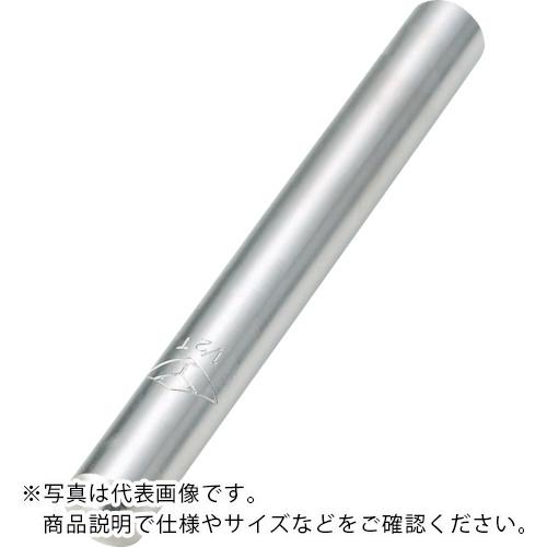 TRUSCO ( トラスコ中山 ) 単石ダイヤモンドドレッサー 100X12 3/4clt ( TDD-12-034 )